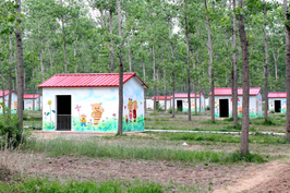 江苏睢宁给猪建“别墅”