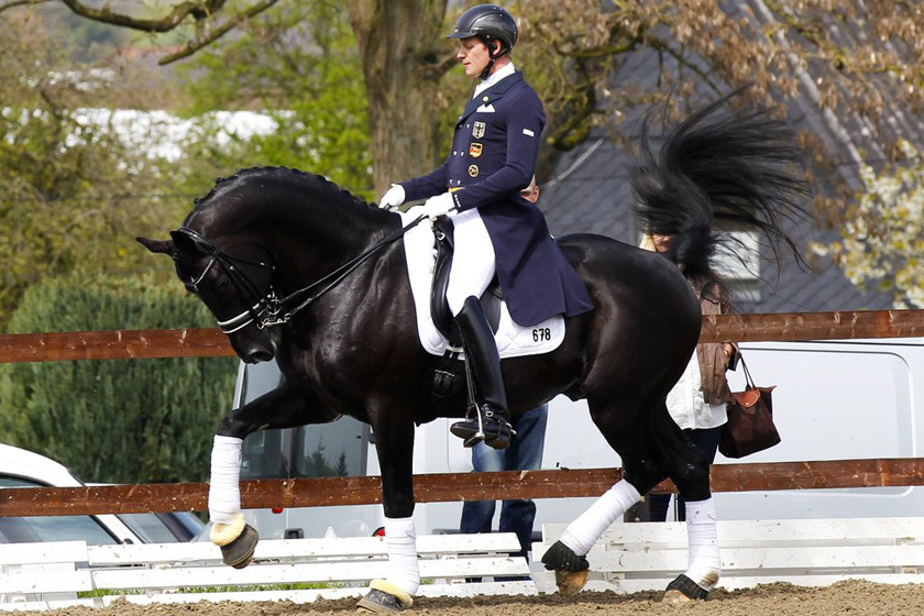 走近奥运赛场最奢华的项目——马术_图片频道_财新网