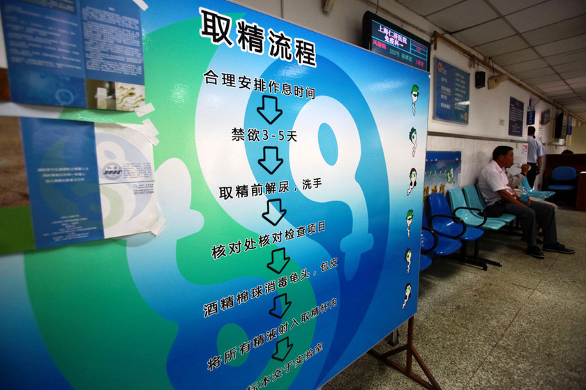 2012年9月10日,上海某医院的人类精子库.