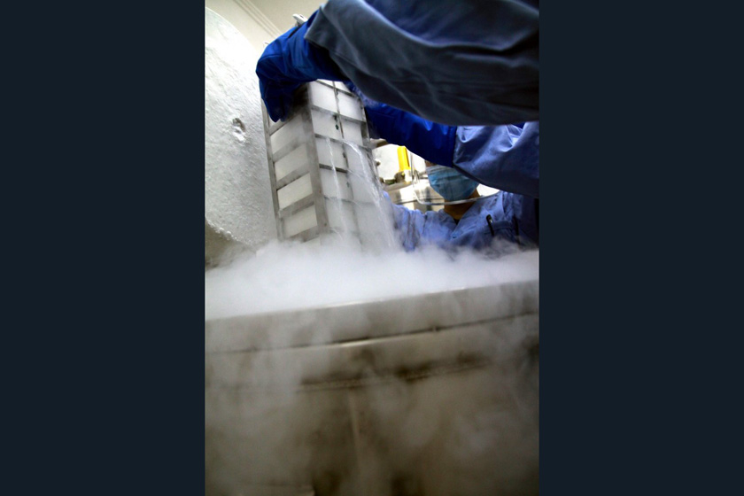 2011年10月12日，辽宁省妇幼保健院人类精子库，工作人员冷藏精子样本。   JOJO/东方IC 

_记者实地探访人类精子库