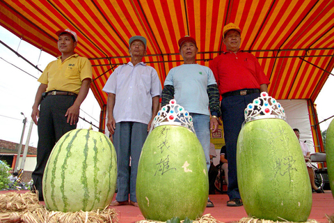 2005年6月19日，台湾苗栗县后龙镇「湾宝甜蜜西瓜节」，推出西瓜皇后选美活动，获选的「西瓜皇后」以甜度、大小取胜。   Udndata/东方IC