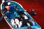 日本残忍捕猎海豚 海水被染成红色