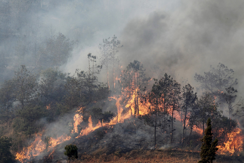 昆明宜良县发生森林火灾