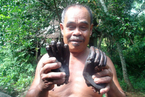 印尼村民烹食红毛猩猩被捕