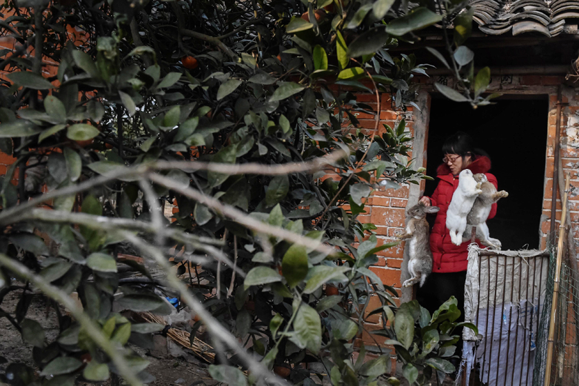 不幸农妇:感谢诗歌_图片频道_财新网