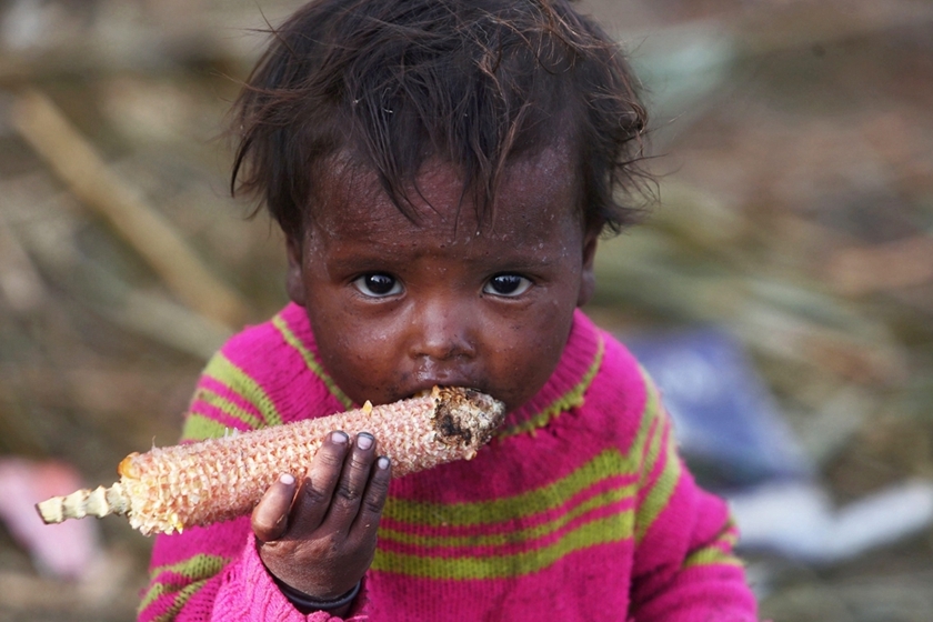 饥饿的印度_印度的饥饿人口