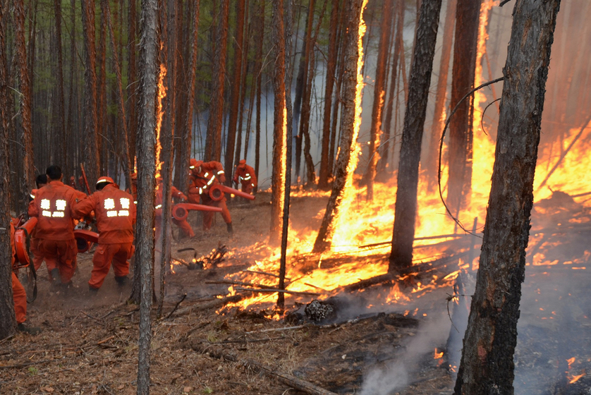 内蒙古大兴安岭阿鲁自然保护区发生森林火灾