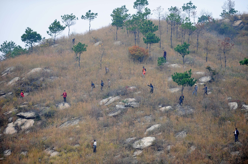 黄陂区人口多_黄陂区地图(3)