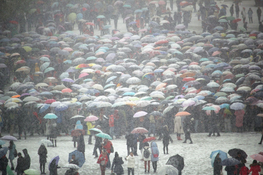 北京迎来强降雪 游人故宫排队购票赏雪景
