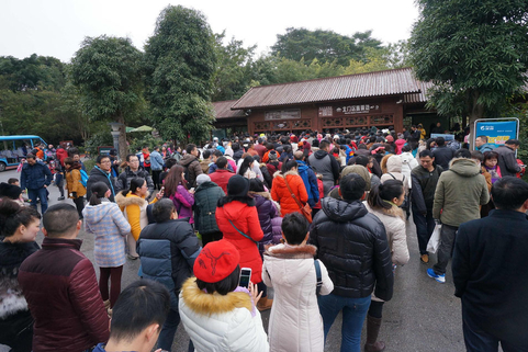 南宁青秀山管委会表示24日有2万人左右上青秀山看雪。 东方IC