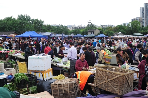 2016年5月7日,成都东光小区附近观音桥菜市场,在这个菜市场,新鲜番茄2