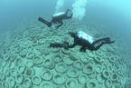美国曾经百万轮胎人工海礁沦为环境灾难