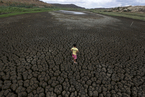 巴西东北部地区遭遇史上最严重旱情