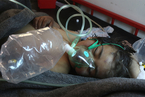 叙利亚发生疑似毒气袭击事件 已致100死400伤