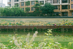 广东城中村涂千米墙绘 变身文艺小镇