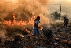 希腊雅典野火蔓延迅速 发生火灾146起