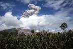 印尼锡纳朋火山再度喷发 火山灰高达4600米