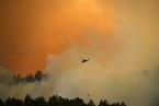 美国发生森林大火 过火面积超89平方公里
