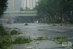 超强台风“山竹”迫近香港 风雨肆虐草木摧折