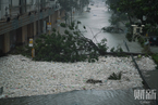 “山竹”肆虐香港 海水倒灌住宅商场垃圾漂浮