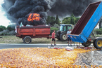政府结束免税政策 法国农民倾倒水果烧垃圾抗议