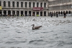 意大利威尼斯水位上涨 街道成“河道”