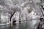 冷空气来袭 陕西多地迎初雪