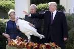 白宫举办感恩节活动 特朗普“赦免”火鸡