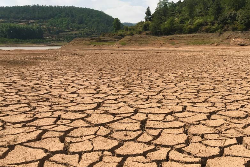 云南遭遇严重干旱 30.9万人饮水困难