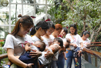 24位妈妈“雨林”快闪 呼吁支持母乳喂养