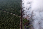 印尼多地发生火灾 大面积土地受损