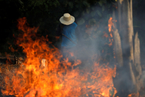 巴西雨林火灾频发破纪录 卫星图像显浓烟