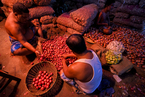 印度洋葱价格暴涨 政府发出口禁令并限制囤积