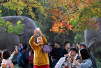 深秋正当时 各地迎来赏秋最佳季
