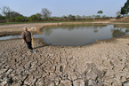 安徽多地遇旱灾 部分粮田绝收水塘见底