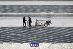 哈尔滨冰雪大世界正筹备 施工队伍取冰忙