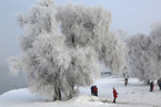 吉林市再现“五星级”雾凇美景 银装素裹晶莹剔透