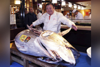 日本金枪鱼新年拍卖会 “鱼王”拍出近2亿日元