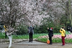 春意渐浓 多地市民走出家门享春光