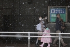 东京3月降雪 城市行人鲜少
