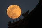 本年度最大最圆 “超级月亮”在全球各地升起