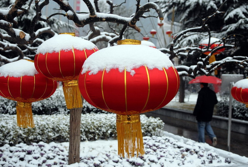 雪灯笼的感悟和启示,雪灯笼读后感100字,曹文轩雪灯笼好词好句(第7页)_大山谷图库