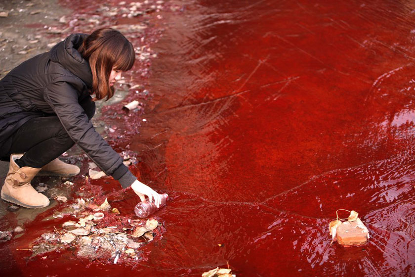 12月13日，河南洛阳，雨水管网流出的红色污水在这里排入涧河。 CFP_洛阳涧河受污染 河水变血红色