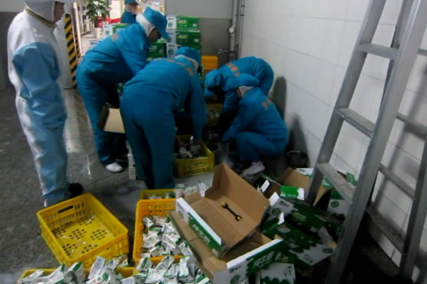 视频截图：四川省眉山市，工人们正在销毁批号为20111018的不合格纯牛奶。（拍摄日期不详）CFP_蒙牛销毁问题牛奶图像曝光