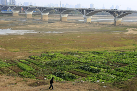长沙湘江水位创新低 河床变菜地