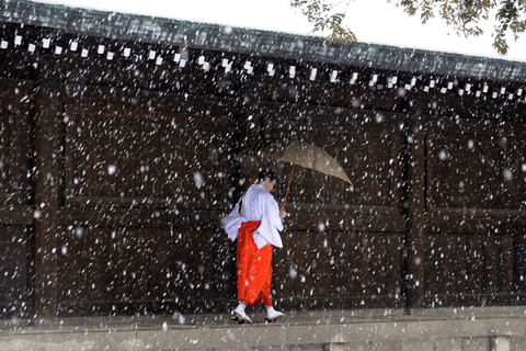 财新每周图片(2012.2.25-3.2)