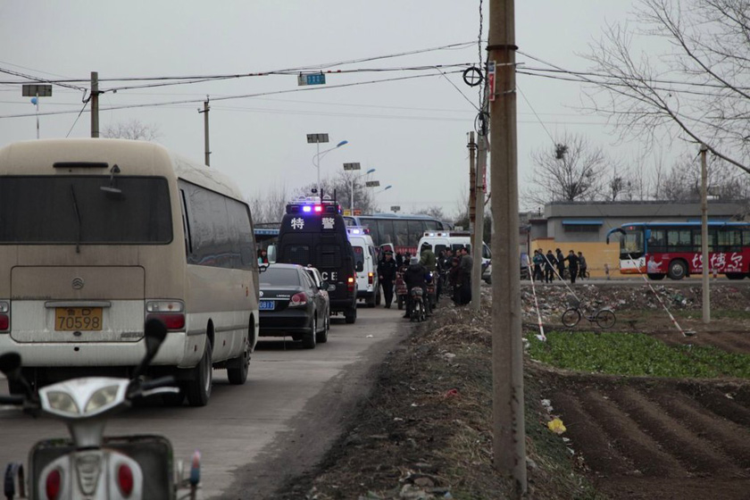 3月19日，山东枣庄滕州市柴胡店镇，民警抬着被打死的灰狼。 高翔 谢经岭/东方IC _山东枣庄灰狼频伤数人 百余警察围捕