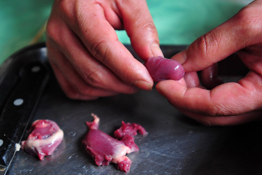 3月16日，广州，将“整容材料”——鸭心用刀切成鹅髻一般大小待用。  广州日报独家稿件/CFP_不良商家鸭头加髻 “整容”后当烤鹅售卖