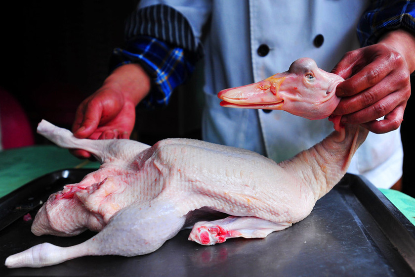 3月16日，广州，完成后的“整容鸭”和鹅几乎一模一样，令人难以分辨。  广州日报独家稿件/CFP_不良商家鸭头加髻 “整容”后当烤鹅售卖