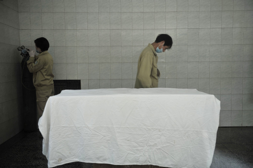 3月23日，海峡（福州）大熊猫研究交流中心，工作人员在准备采血床。 柳涛/CFP_直击大熊猫“献血”过程